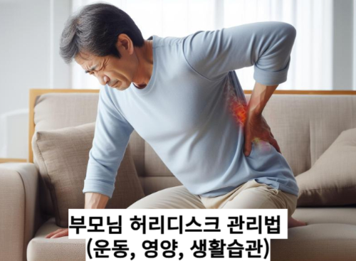 부모님 허리디스크 관리법 (운동, 영양, 생활습관)