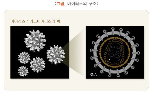환절기 감기 예방법
