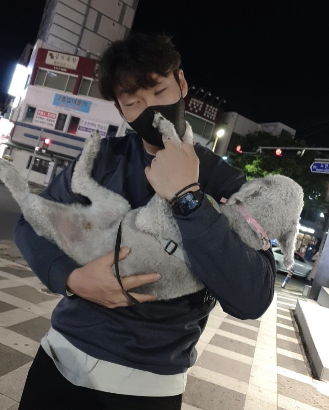 이상호 강아지