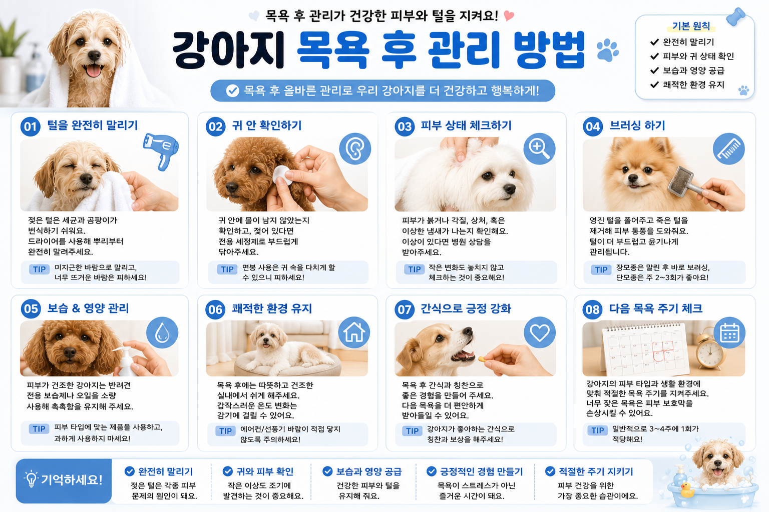 강아지 목욕 후 관리 방법 이미지