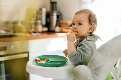 식판에 밥먹는 아기