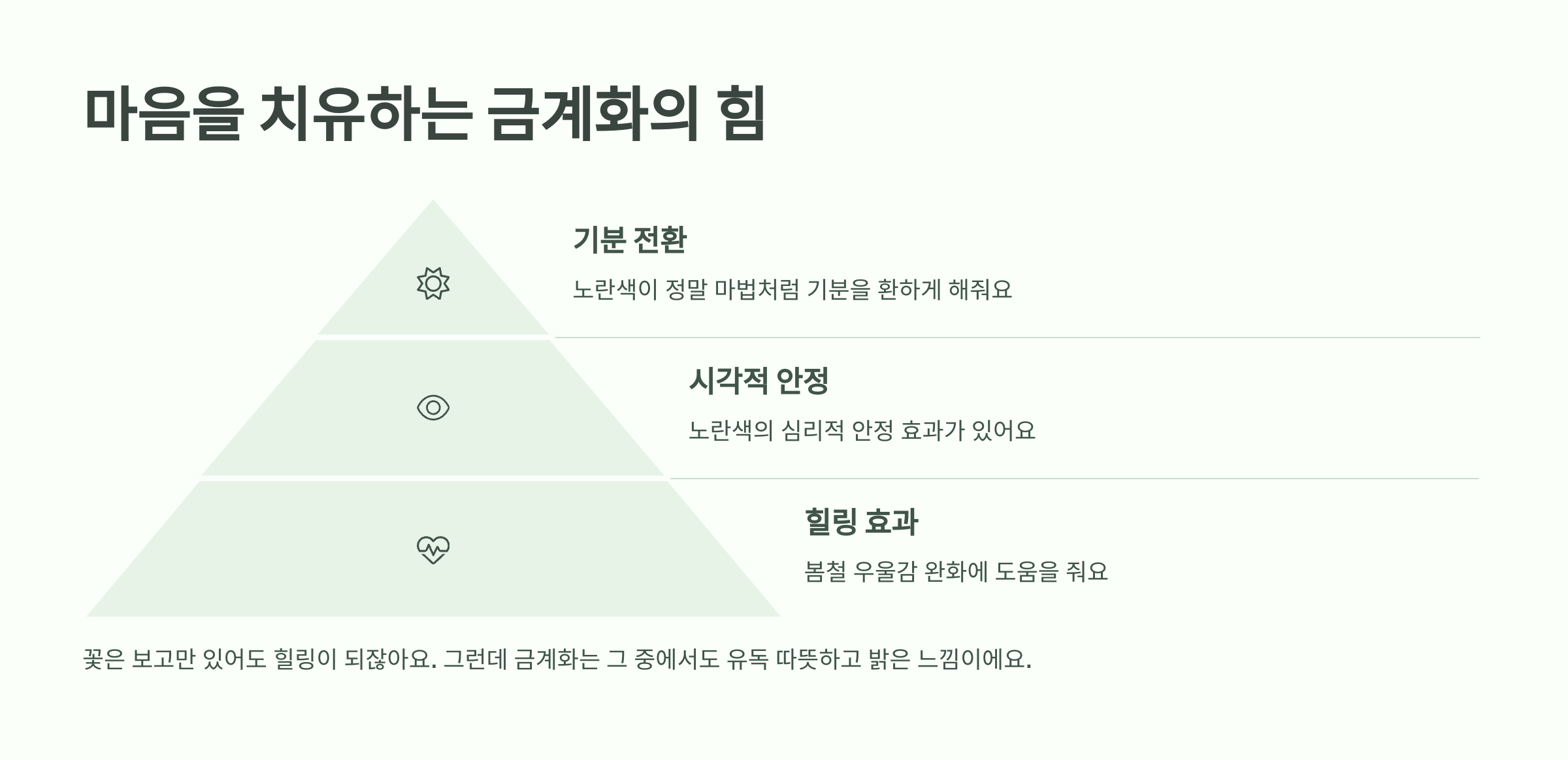 금계화