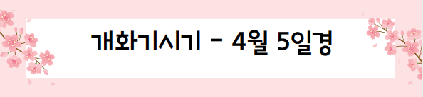 봄꽃 여행지