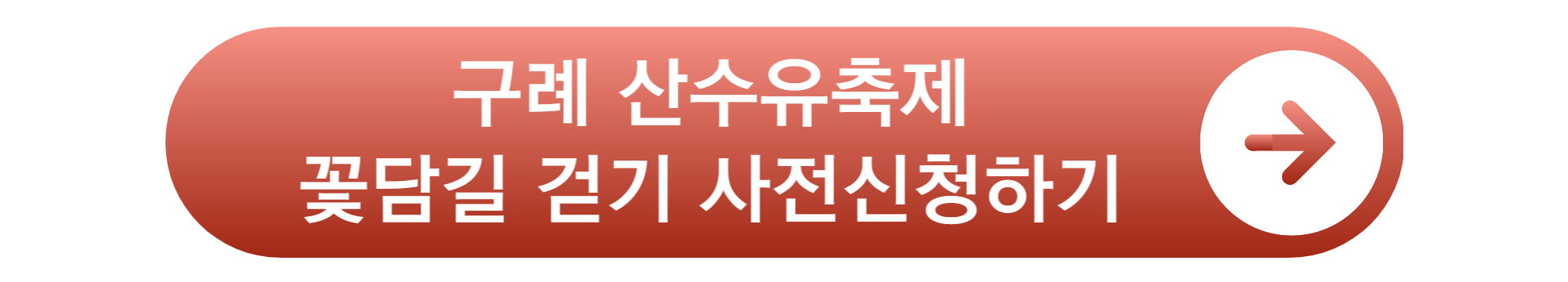 구례 산수유축제