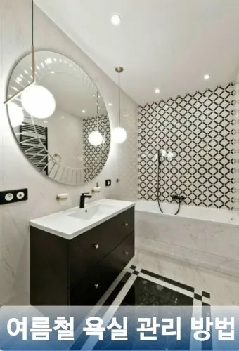 여름철 욕실 세균 곰팡이 청소 끝 관리법과 예방 팁 완벽 위생 가이드_24