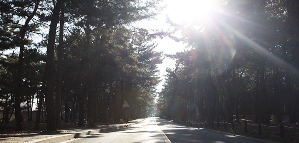 강릉 하운드 더 블루 호텔｜오션뷰&middot;넷플릭스&middot;카페까지, 할인 혜택으로 가성비 숙소 예약하기!