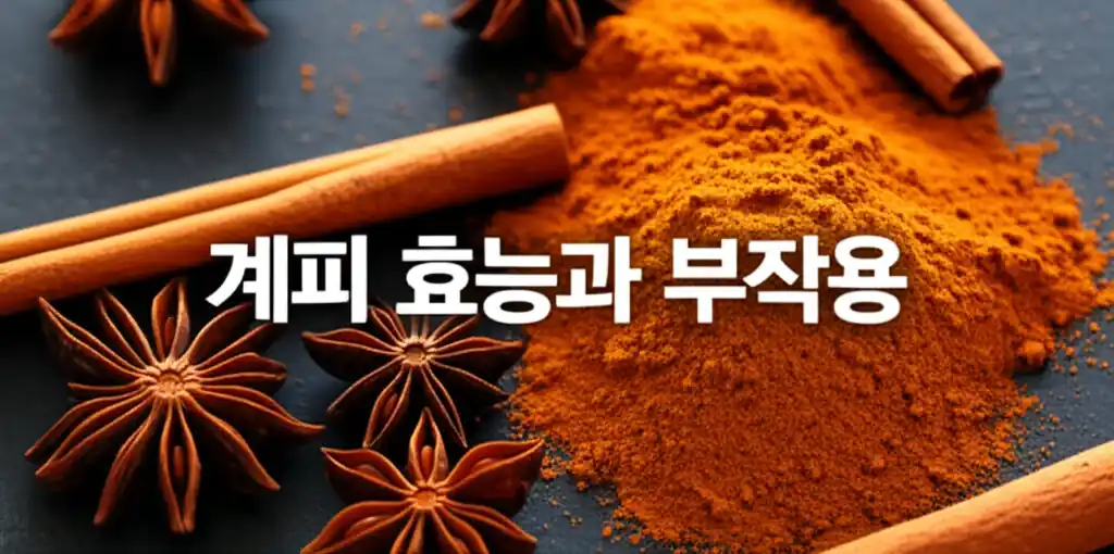 계피의 효능과 부작용을 시각적으로 설명하는 정보 이미지