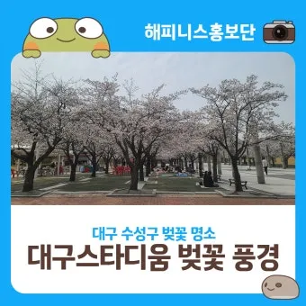 대구 가볼만한곳 베스트10 근대골목 수성못 노포맛집 여유 코스_16