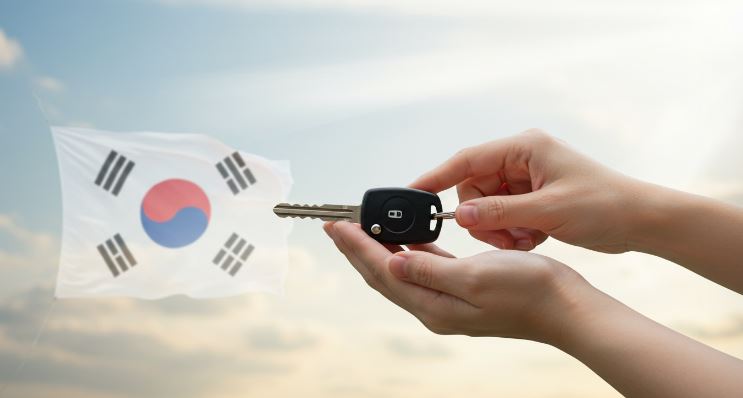 광복절 운전면허 특별사면 관련 이미지