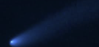 ENFP 유형 특징 분석