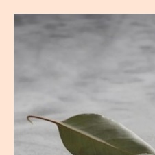 입술 포진 빨리낫는법