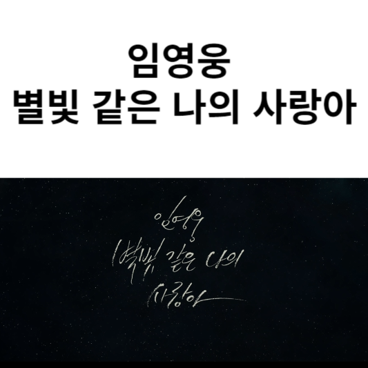 임영웅 별빛 같은 나의 사랑아