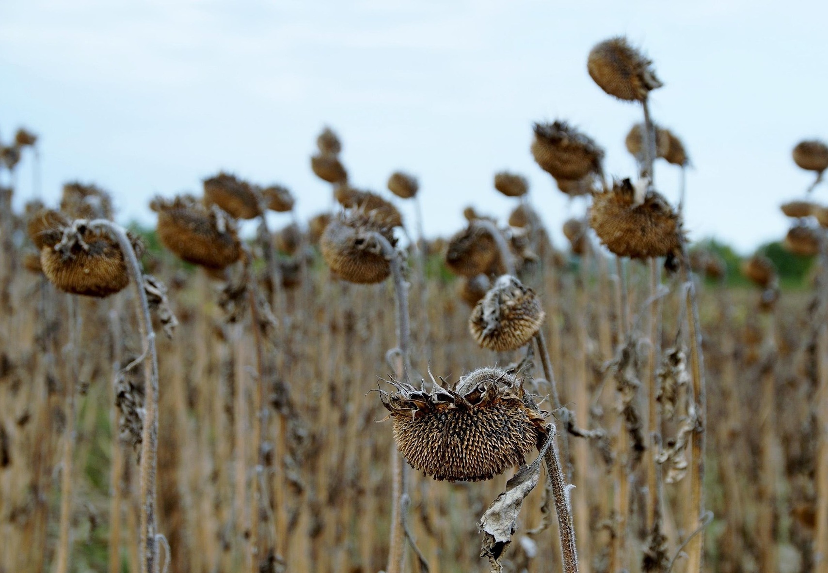 기후 위기는 왜 ‘정권 교체’의 핵심 변수로 떠올랐는가!