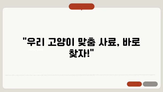 고양이 사료 추천 나이별 특징별 급여 팁