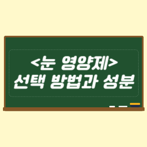 눈 영양제 선택 방법과 성분