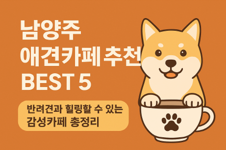 남양주 애견카페 추천 BEST 5 : 반려견과 힐링할 수 있는 감성카페 총정리