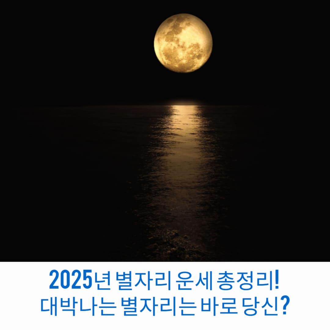 2025년-별자리-운세-총정리-대박나는-별자리는-바로-당신-썸네일