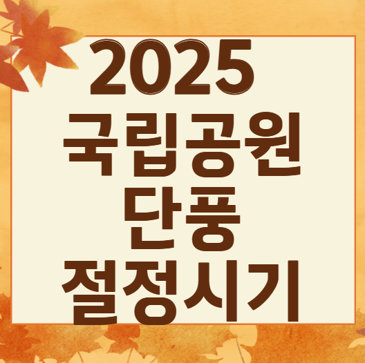 2025 전국 국립공원 TOP5 단풍 절정 시기 총정리 ❘ 가을 산행 준비법