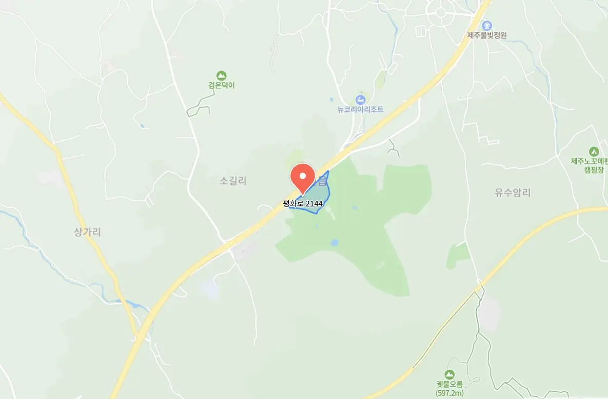 렛츠런파크 제주 야간마켓