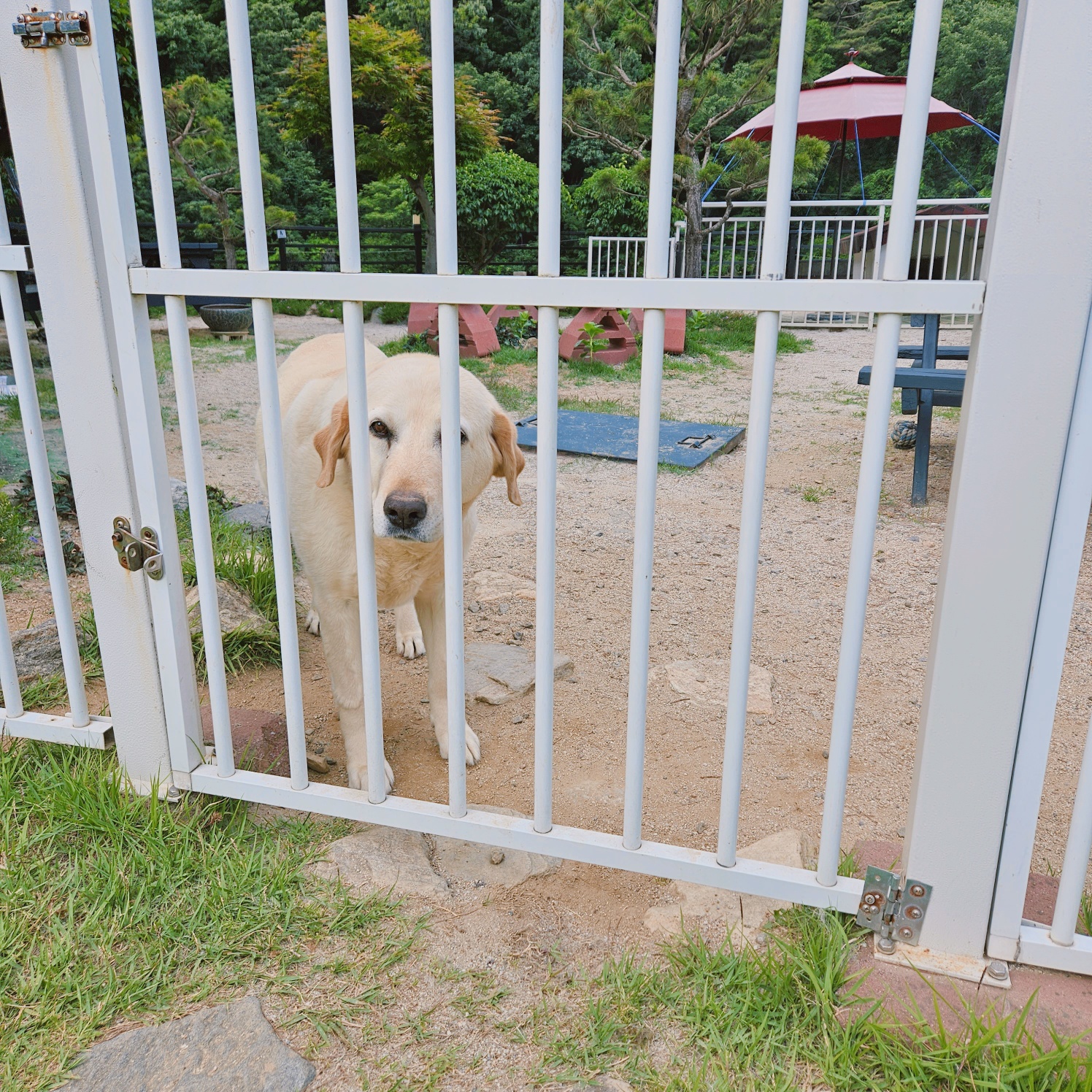 시크릿문 펜션 모습