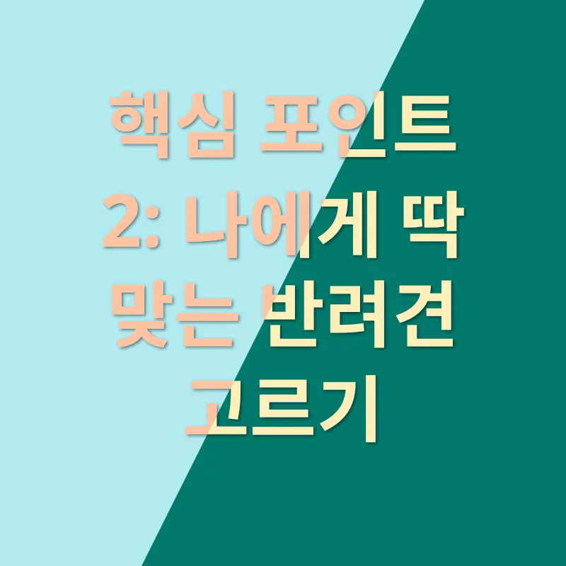 반려동물 분양_2