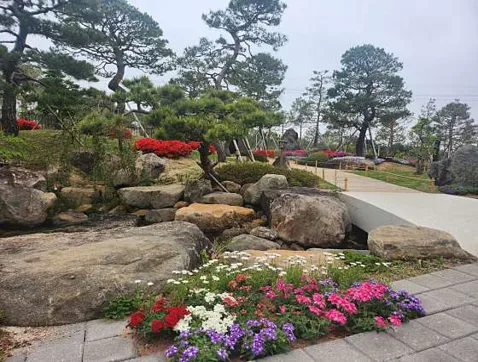 반야원 플라타너스