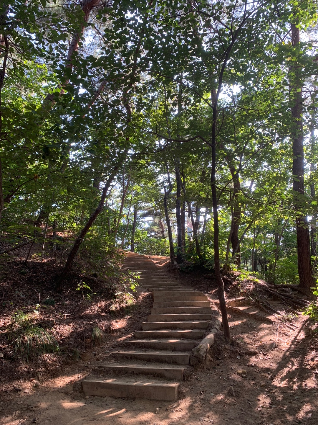 서울대학교 관악캠퍼스 건설 환경종합연구소 등산로 입구