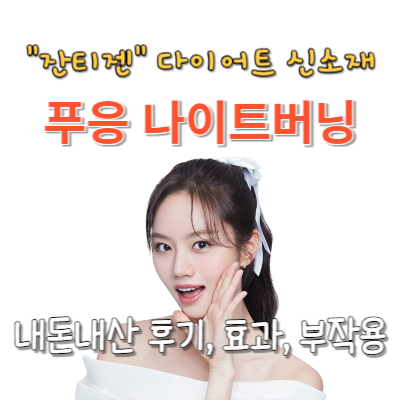 푸응 나이트버닝 내돈내산 후기 정리 및 효과 부작용(혜리 잔티움 다이어트)
