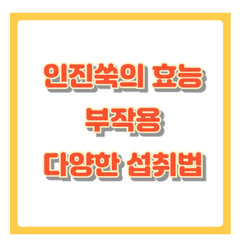 인진쑥의 효능과 부작용 다양한 섭취방법