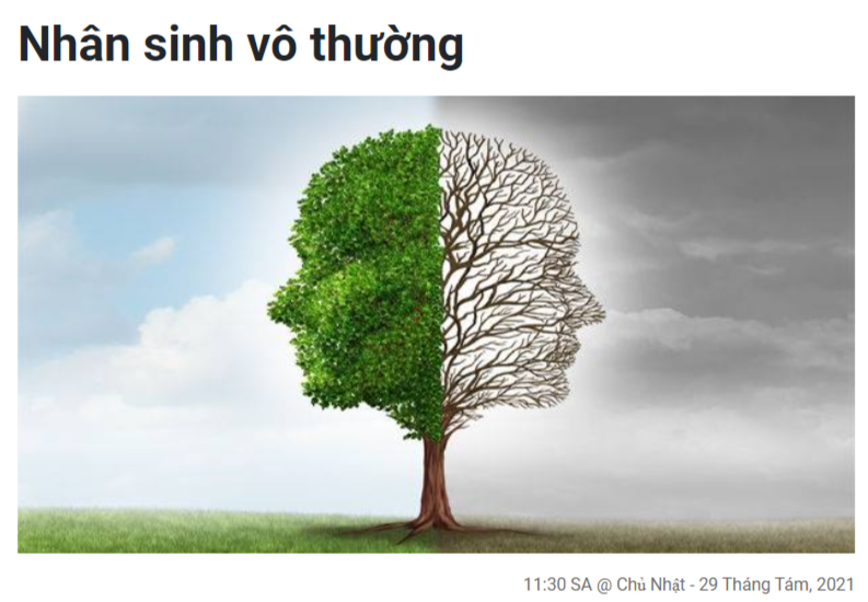 "년 신 보 트엉"을 인용한 포스트 제목