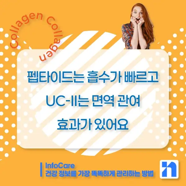 콜라겐의 효능과 복용방법