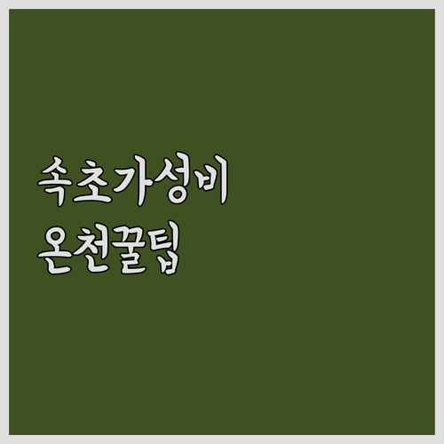 속초 가성비 숙소 추천 맘모스 리조텔..