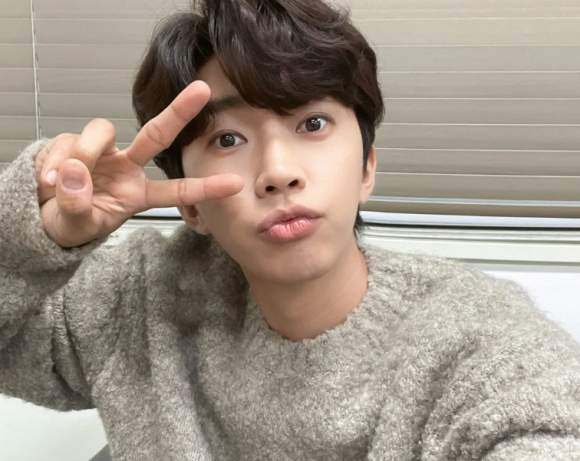 임영웅 DM 논란 진실 반려견 애완견 정치 발언 디엠 인스타