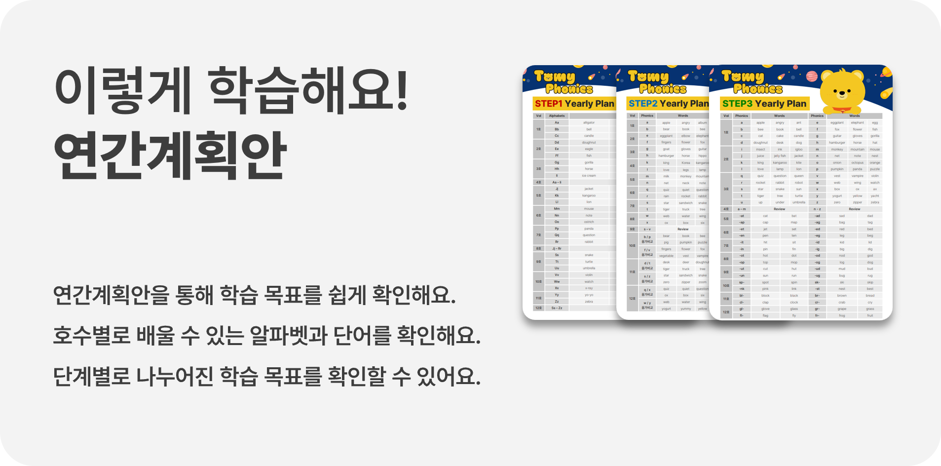 토미 파닉스 연간계획안