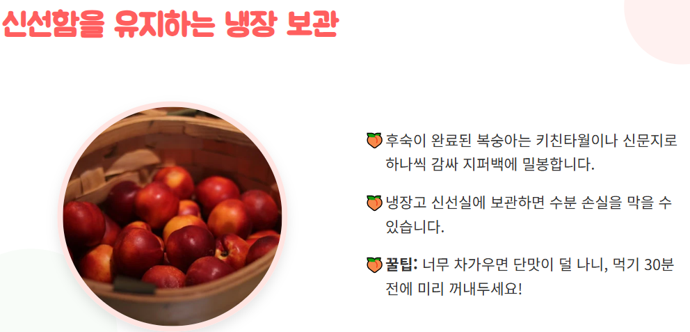 신비 복숭아 수확시기