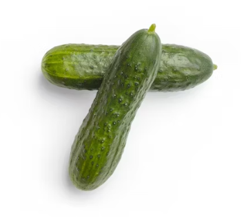 오이 효능 부작용 고르는법 칼로리