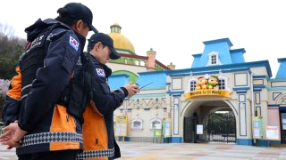 늑구 대전 오월드 탈출 수컷 늑대 청주 드론 수색
