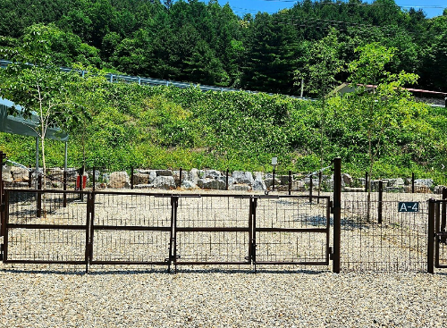 드루왈 애견캠핑장 개별울타리