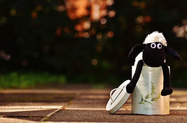 어떻게 스마트폰 대신 독서를 습관화하는 방법 가능할까?