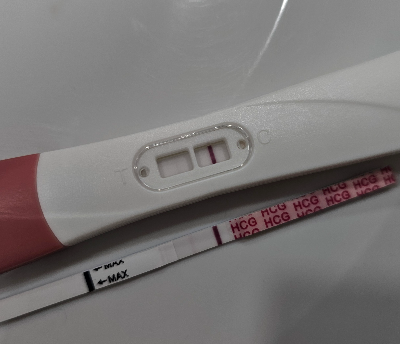 동결이식 후 6일차 임테기