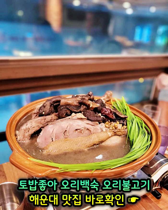 부산 해운대 맛집 무항생제 1등급 오리 백숙