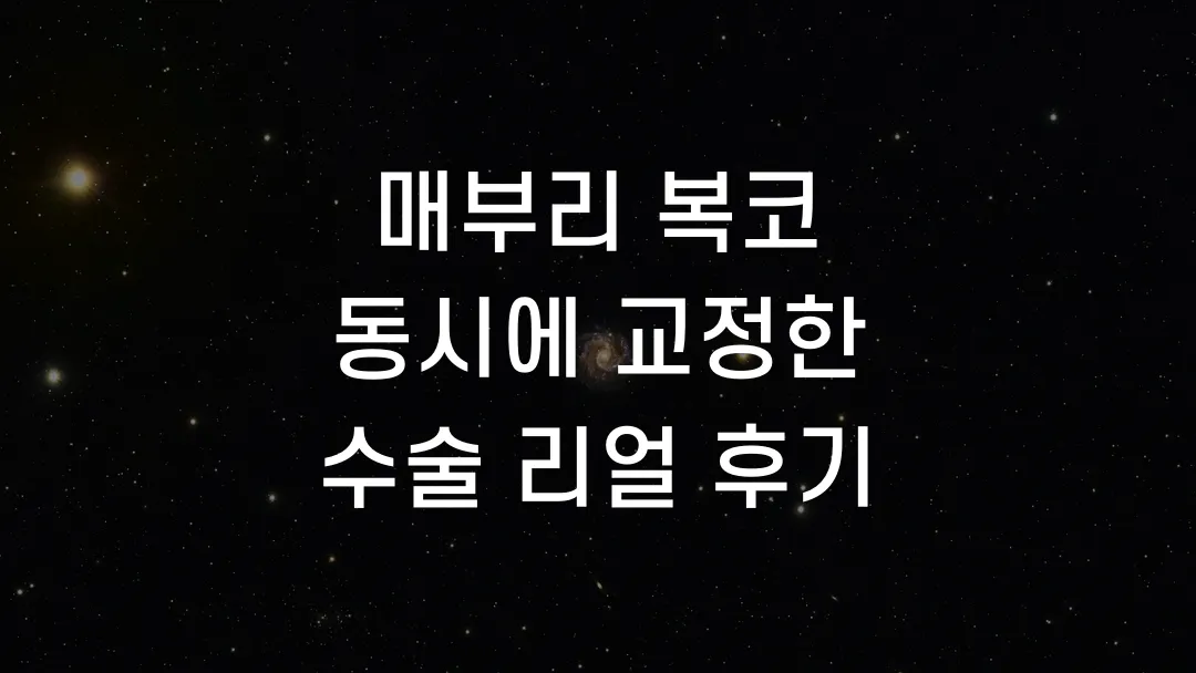 매부리 복코 동시에 교정한 수술 리얼 후기