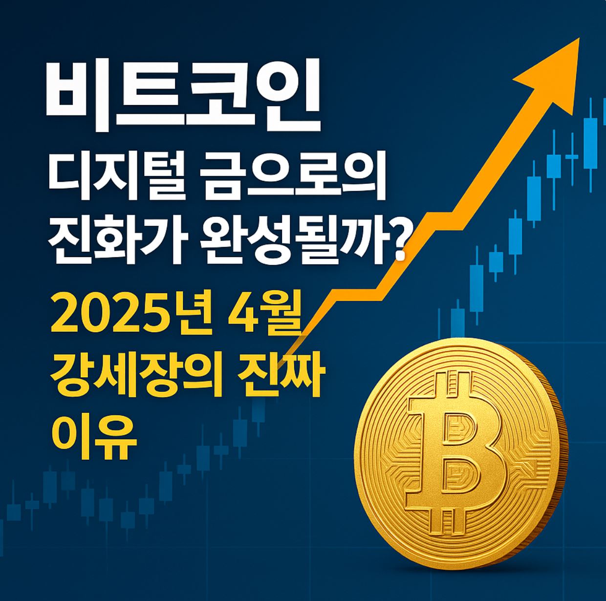 비트코인 강세장의 이유