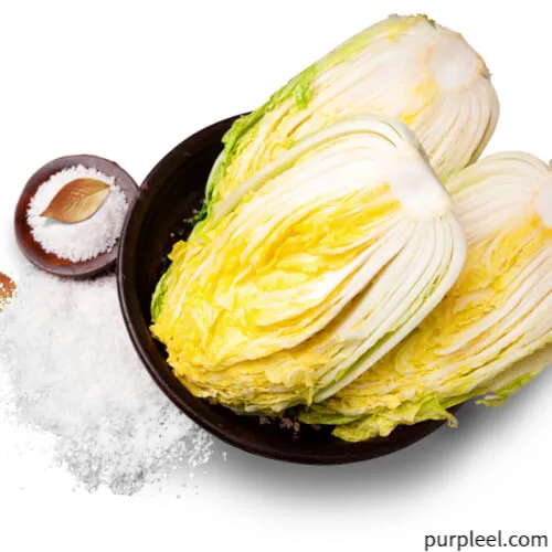 괴산절임배추20kg