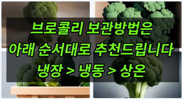 브로콜리 보관법