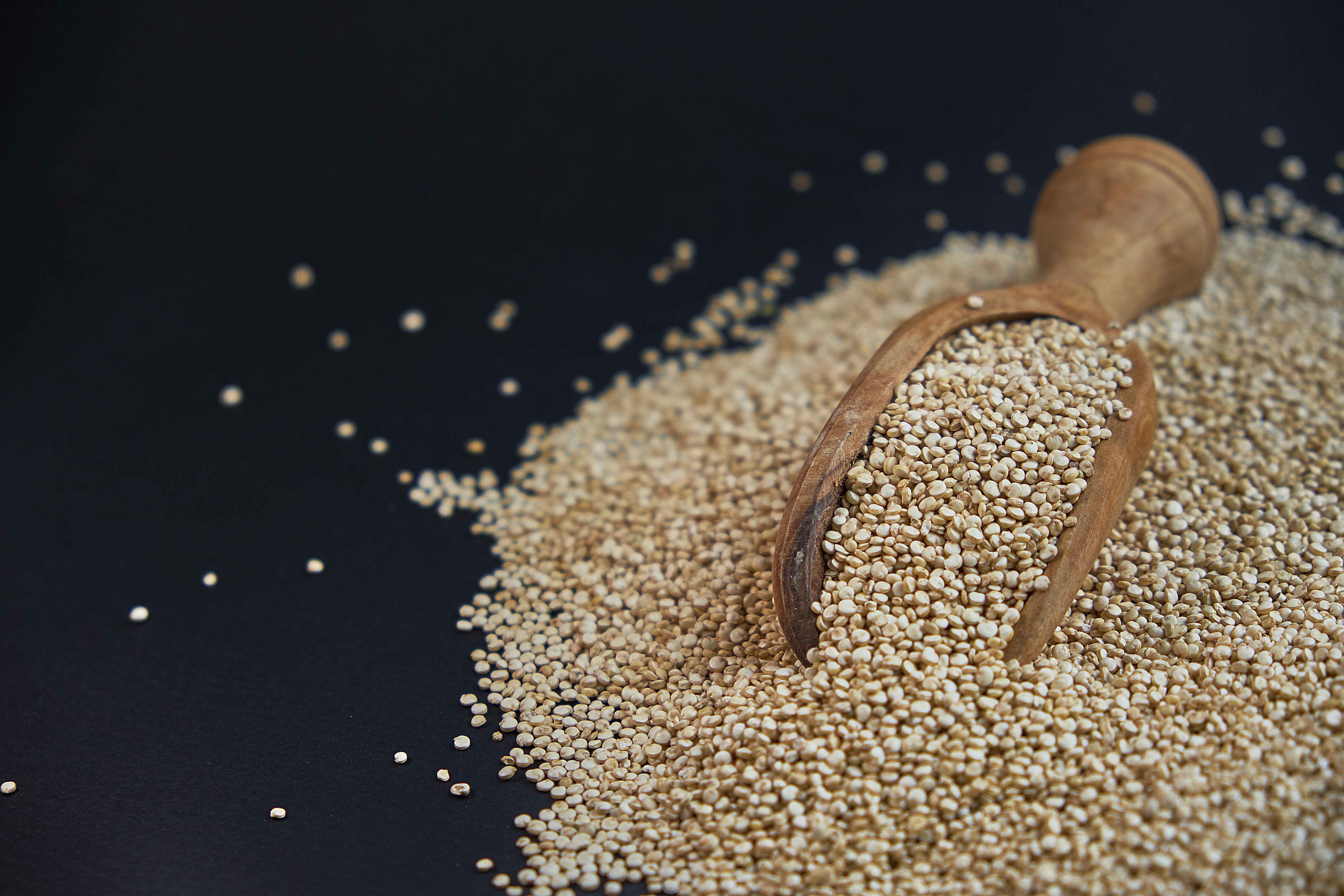 들깨가루 효능 다이어트, 작지만 강력한 슈퍼푸드! 혈관, 두뇌, 피부 건강까지!