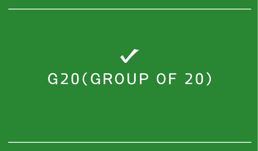 G20(Group of 20)