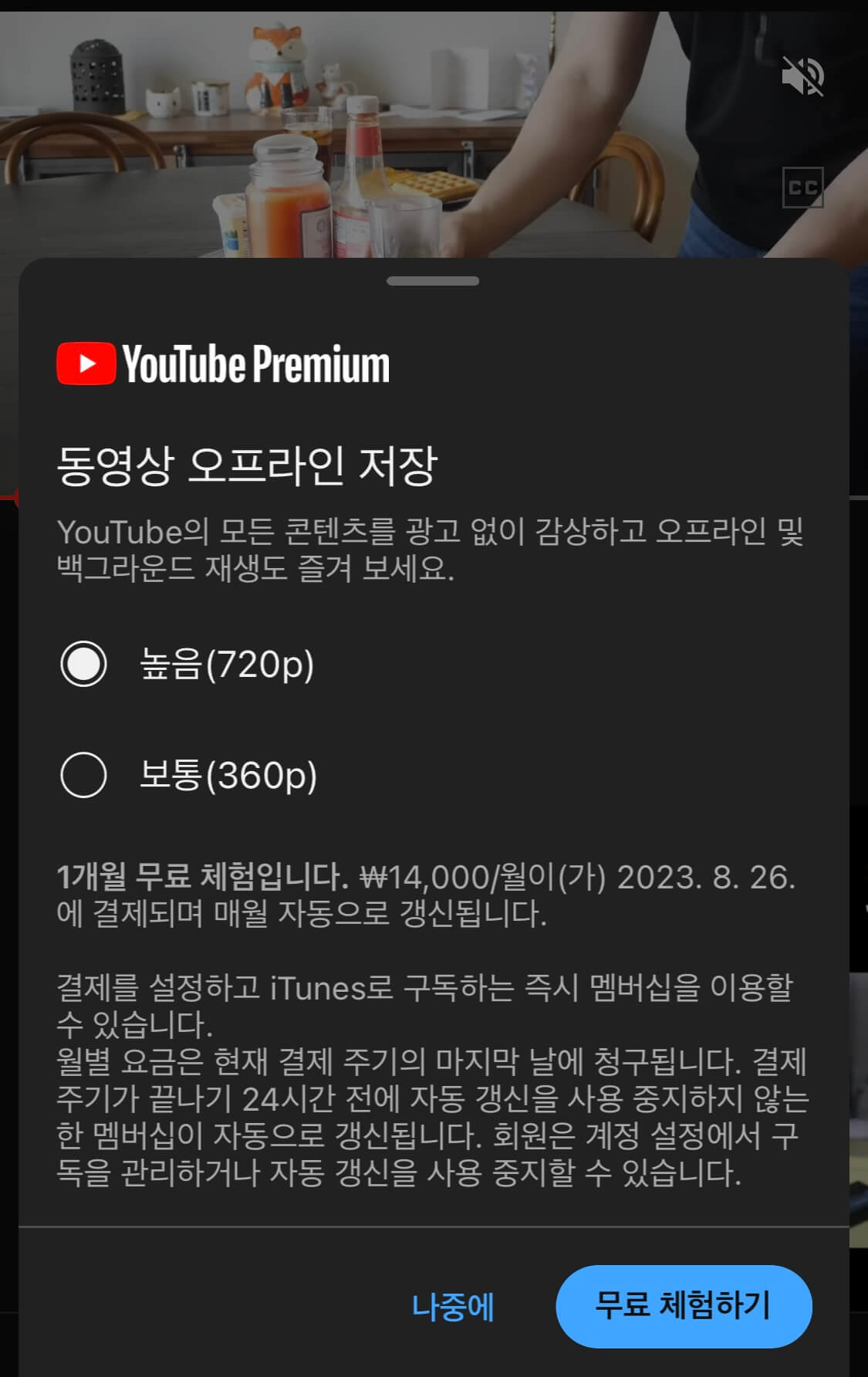 유튜브 동영상저장