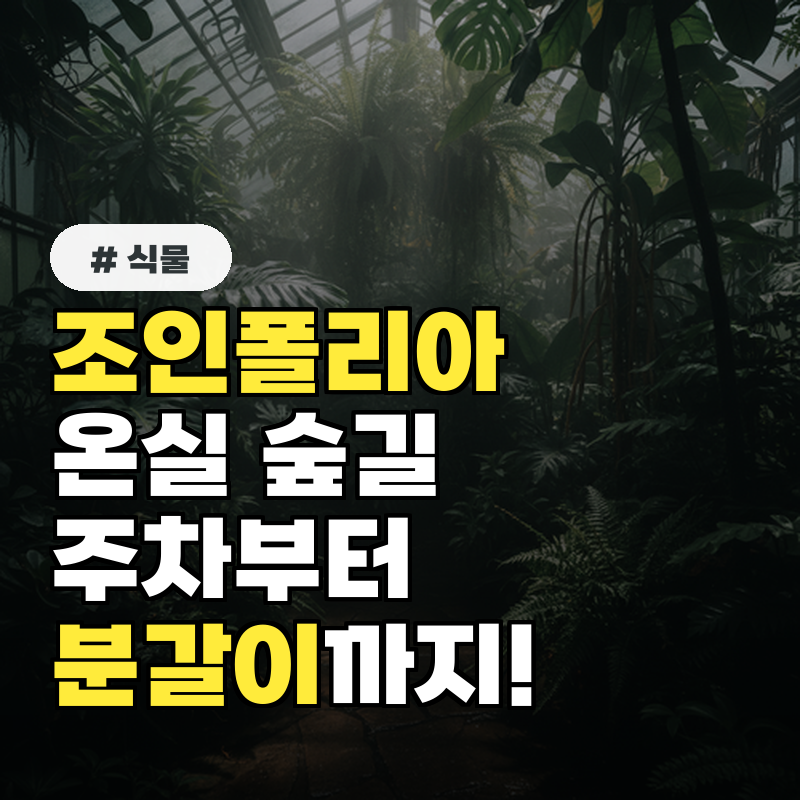 조인폴리아 온실 숲길, 주차부터 분갈이까지!