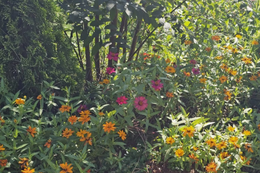 특색 있고 아름다운 민간 정원 30선 추천 여행 - 18. 순천 화가의 정원산책